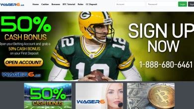 1vice sportsbook review|1Vice.ag Sportsbook Review – Handicappers Hideaway.